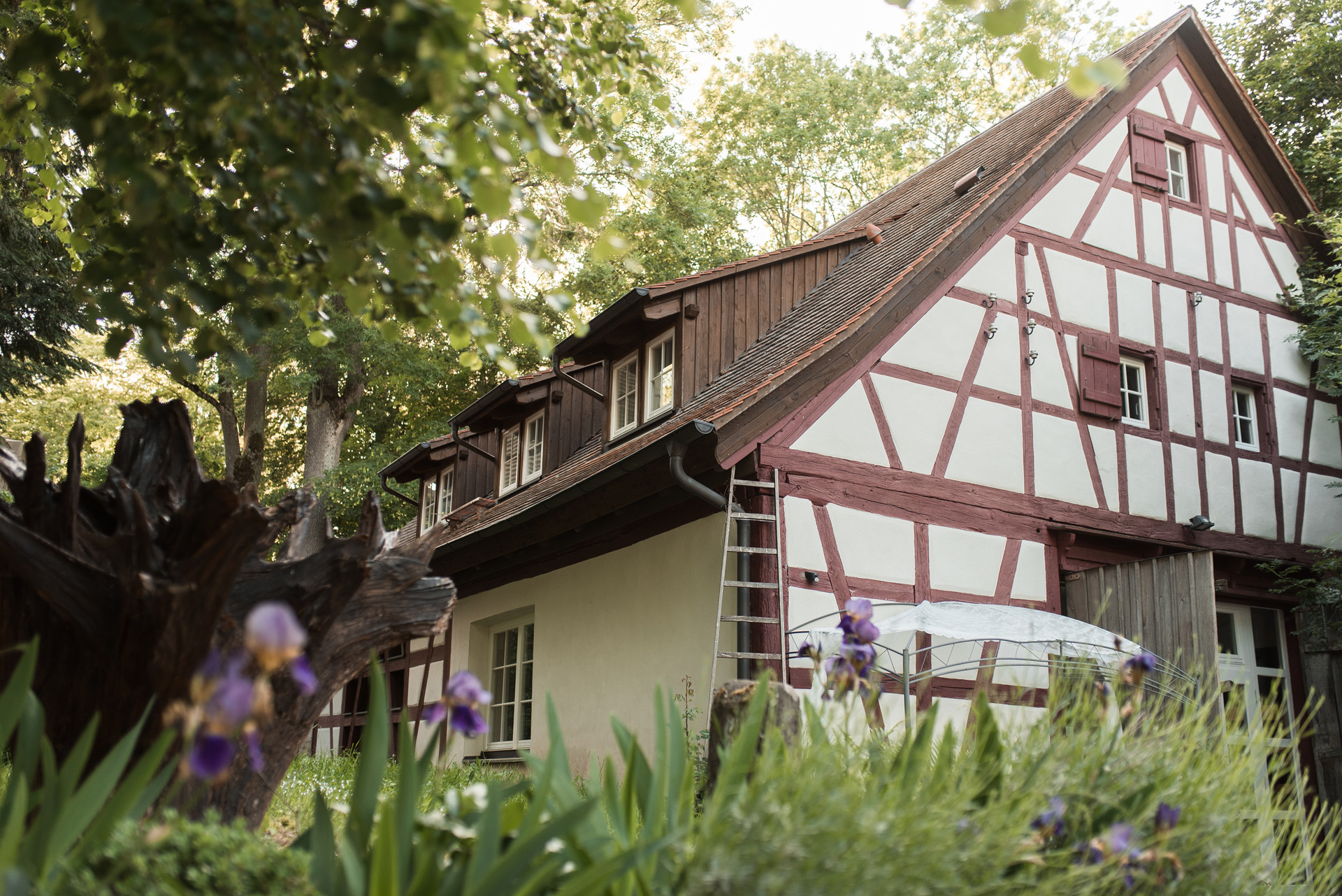 Das Gasthaus Einkorn in der Frontansicht. Ein dreistöckiges Fachwerkhaus, weiß mit Holzbalken und Dachfenstern.